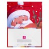 Пакет подарочный НАБОР 4 штуки, новогодний, 18х10х23 см, "Christmas Animals", ЗОЛОТАЯ СКАЗКА, 591956