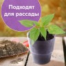 Стакан одноразовый 200 мл, КОМПЛЕКТ 50 шт., прозрачные, "КРИСТАЛЛ", ПС, холодное/горячее, LAIMA, 602652